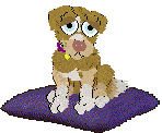 Funfetti/Poppyhill’s Catching The Scenic Route at FK — “Scout”