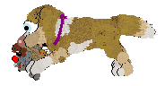 Funfetti/Poppyhill’s Catching The Scenic Route at FK — “Scout”