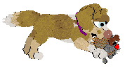 Funfetti/Poppyhill’s Catching The Scenic Route at FK — “Scout”