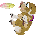 Funfetti/Poppyhill’s Catching The Scenic Route at FK — “Scout”