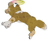 Funfetti/Poppyhill’s Catching The Scenic Route at FK — “Scout”