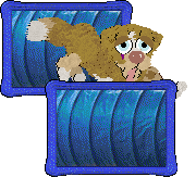 Funfetti/Poppyhill’s Catching The Scenic Route at FK — “Scout”