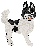 Pachelbel's Velvet Rose — “Velvet”