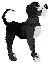 Poppyhill's As Summers Die — “Bette”