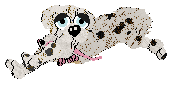 Funfetti/Poppyhill's Catch Me If You Can at Vanilla — “Cooper”