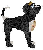 Witz's Animal Skulls — “Butcher”