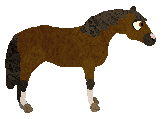 Profile image of WF's Ferrero Rocher