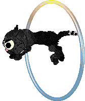 Calluna's The Hero U Deserve — “Gotham”