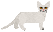 Macavity Snowbunny Season — “Snookums”