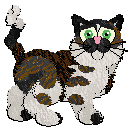 Profile image of Witz/Calluna's Rolling Marimos