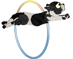 Calluna's Doyenne of Her Field — “Doyenne”