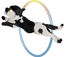 Calluna's Doyenne of Her Field — “Doyenne”