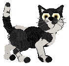 Calluna's Doyenne of Her Field — “Doyenne”