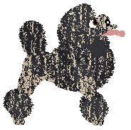 Moonvale's Nana Boo Boo — “Nana”