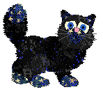 Tangle/FDL's Star of Wonder — “Celestro”