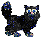 Tangle/FDL's Star of Wonder — “Celestro”