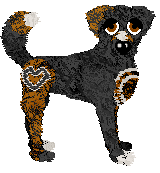 Profile image of DomeKua/FK's Abide by the Law