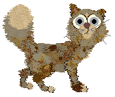 Profile image of Swallowtail/FK's Windswept and Weathered