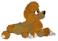 Cargo/FK’s Gilded Horizon — “Haifa”