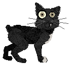 Dahlia/FK's Beyond the Edge — “Fringe”