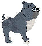 Profile image of SGP/King's Project Blue Book