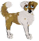 mouse/FK's Biscotto Allo Zenzero — “Gingersnaps”