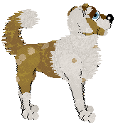 mouse/FK's Biscotto Allo Zenzero — “Gingersnaps”