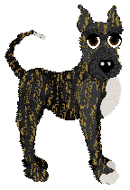 Profile image of MPWD/FK’s Eternal Tide