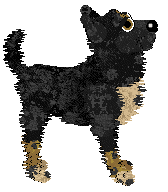 Sz/FK’s Silent Strike — “Adder”