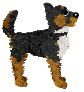 Amphigory’s Velvet Vexation — “Vex”