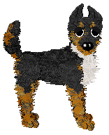 Amphigory’s Velvet Vexation — “Vex”