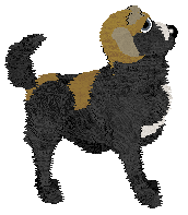 Amphigory’s Flick of the Ferris Wheel — “Flick”