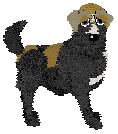 Profile image of Amphigory’s Flick of the Ferris Wheel