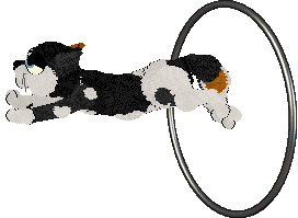 Perfume Sea, Earthquakes and Horses — “Poseidon”