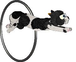 Perfume Sea, Earthquakes and Horses — “Poseidon”