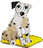 Funfetti/Mos Eisley's Literal Luxury II — “Bentley”