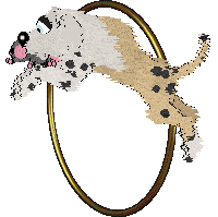 Funfetti/Mos Eisley's Literal Luxury II — “Bentley”