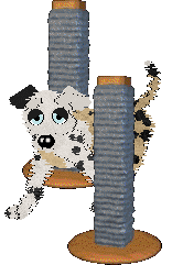 Funfetti/Mos Eisley's Literal Luxury II — “Bentley”