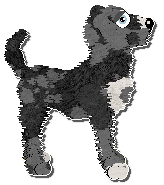 Profile image of Krunchez Interstellar Gator Skin Boots