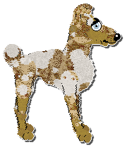 Profile image of Krunchez Caramel Oat Latte