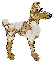 Krunchez Caramel Oat Latte — “Caramella”