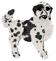 Krunchez Tomorrow's Modern Boxes — “Modern”