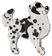 Profile image of Krunchez Tomorrow's Modern Boxes