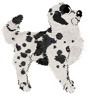 Krunchez Tomorrow's Modern Boxes — “Modern”