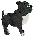 Profile image of Zyphire/King's Artistic Representation