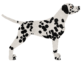 Mockingbird's Reputation Precedes Me — “Rep”