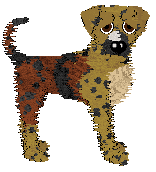 FK/Poppyhill's Showdown in Tokyo — “Kotona”