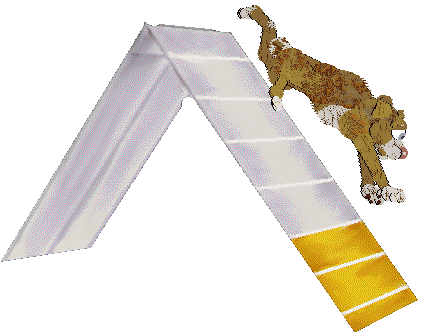 PBK/Poppyhill's Catcher in the Rye — “Caulfield”