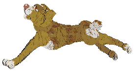 PBK/Poppyhill's Catcher in the Rye — “Caulfield”