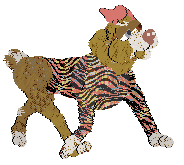 PBK/Poppyhill's Catcher in the Rye — “Caulfield”